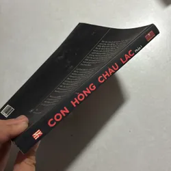 Con hồng cháu lạc 2 phần (Truyện thơ Lịch sử) 736553