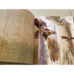 Harry Potter và Hội Phượng Hoàng bản đặc biệt in màu 72280