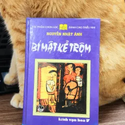 BÍ MẬT KẺ TRỘM (Nguyễn Nhật Ánh) - bìa cứng / khổ cây viết