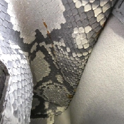 Túi Fendi SELLERIA Peekaboo 8BN290 N8K - Hàng hiệu Chính hãng 769793