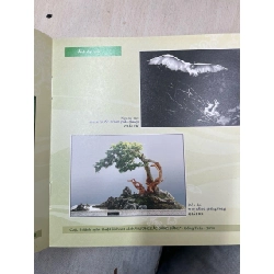 Hương sắc Đồng bằng 752035