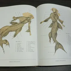 The resurrectionist, sách ngoại văn tiếng Anh, english book  731775