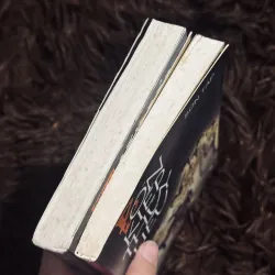 Combo 2c Sơn Táp 1030776