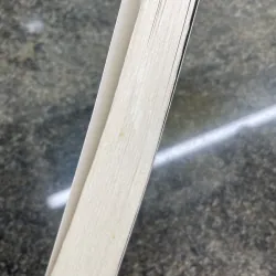 Broken windows, broken business Michael Levine 751278