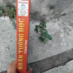 Nhân tướng học tòn thư của Thiệu Vĩ Hoa  1028224