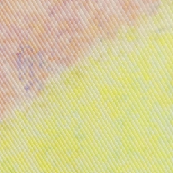 【Mã giảm giá】Áo PLEATS PLEASE 646627