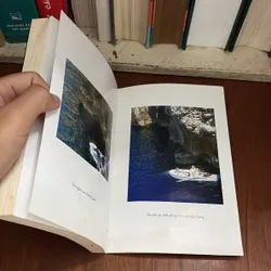 II Văn Học Thiếu Nhi: Hang Xanh - ANNA WEIL - ROGER VU (Dịch) - 2020 709209