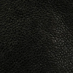 Người đẹp beautiful people áo khoác da 641449