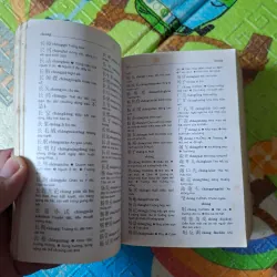 Từ Điển Trung - Việt 995067