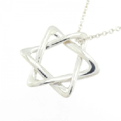 Dây chuyền Tiffany David - Hàng hiệu Authentic 841966