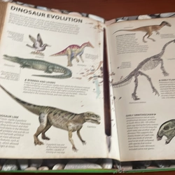 PICTURE BOOK Wow! Dinosaur 536206