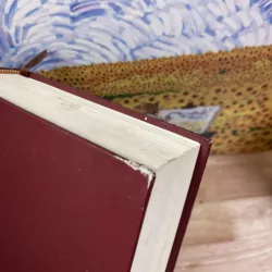 Cộng Đồng Vaticanô II 1011312