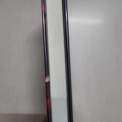 Sách Wild & Chance của Allen Zadoff mới 97% 508798