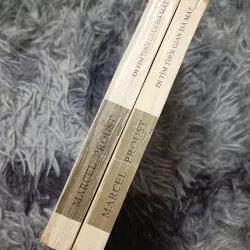 Đi tìm thời gian đã mất (Proust) 934466