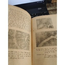 Miễn dịch trung gian tế bào - Đỗ Trung Phấn 1026941