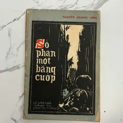 Số phận một băng cướp – Nguyễn Quang Vinh 989925