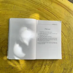 CHÂN DUNG VĂN HỌC VIỆT NAM Tiểu luận- Phê bình - NGUYÊN AN 958026