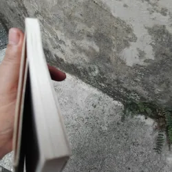 Hồi kí Thương Tín một đời giông bão  1028247