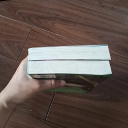 Tình yêu đêm hạ chí 510029