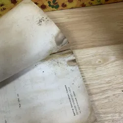 Con Rồng Đang Lấy Sức - Vich-to-Xa-ma-rin 748623