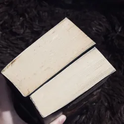 The Odyssey + The Iliad  996795