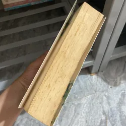 Bánh xe định mệnh - Nhiễu Lương Tam Nhật 957819