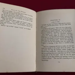 Sách ngoại văn tiếng Anh - Flag of the desert 713370