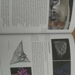 Sách kiến trúc TECTONISM - ARCHITECTURE FOR THE 21TH CENTURY 539380