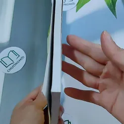 Những Nấc Thang Hạnh Phúc - Hoàng Mai 634461