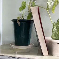 Kiêu hãnh và định kiến 746456