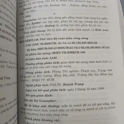 ỨNG DỤNG THẠCH HỌC NGHIÊN CỨU HIỆN VẬT ĐÁ - PHẠM ĐỨC MẠNH 721098