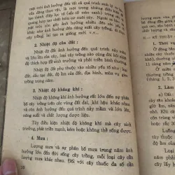 Những kinh nghiệm trồng và sử dụng 1 số cây thuốc nam 995088