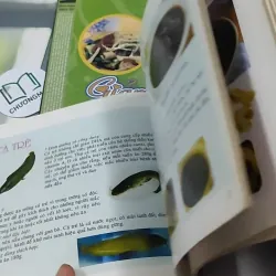 Combo Ẩm Thực: 35 Món Ăn Dành Cho Phụ Nữ, 29 Món Giảm Béo 727318