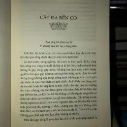 Nếp cũ - Hương nước hồn quê - Toan Ánh 746852