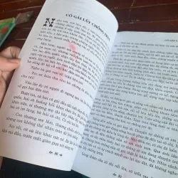 Kongchuy và Patchuy 1003919