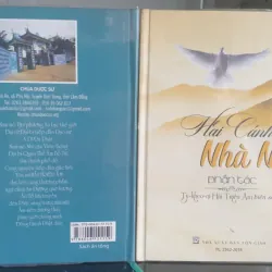 Hai Cánh Nhà Ni - Tỳ Kheo Ni Hải Triều Âm 718746