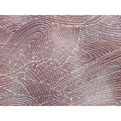 Áo khoác / Áo khoác đường đi 2 món - Hàng hiệu Authentic 883519