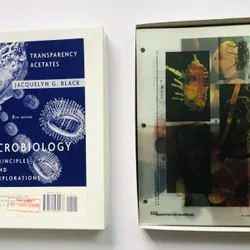 MICROBIOLOGY – PRINCIPLES AND EXPLORATIONS (Transparency Acetates) 599736