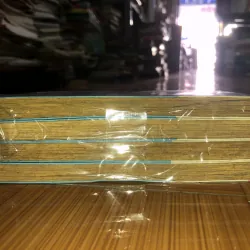 Anh chàng bảo mẫu - Hari Tokeino 798607