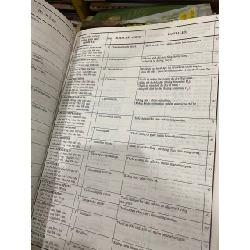 Videl Việt Nam 1004743