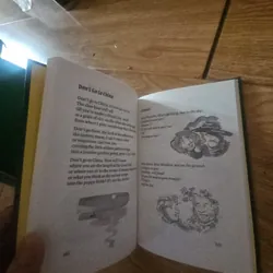 The good child's guide to rock'n'roll (bìa cứng) Giá 20k  604009