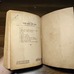 Bài Việt Văn Kỳ Thi Tú Tài - Phạm Thế Ngũ 1022203