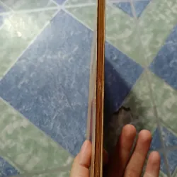 Tố Tâm - Hoàng Ngọc Phách 1000737