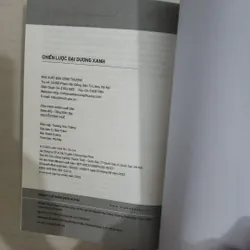 Sách Chiến lược đại dương xanh 715548