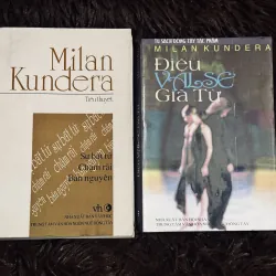 Combo 2c Milan Kundera 