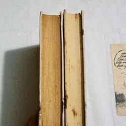 Combo 2c Bạch Lạc Mai (bìa cứng)  701865