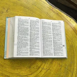 TỪ ĐIỂN VIỆT ANH- VIETNAMESE- ENGLISH DICTIONARY 594714