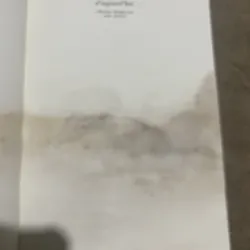 Patrick Carré Le Palais nuages roman 747299