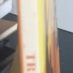 Trẻ Già - Nguyễn Hải Phú 693272