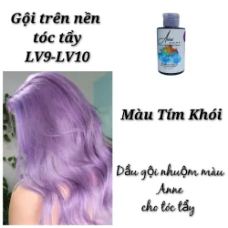 Dầu Gội Bù Màu Anne Đổi Màu Tóc Tẩy (Nền Tóc LV9) Màu Khói 761467